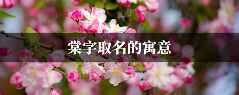 棠名字意思|女孩取名棠的意义